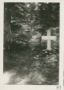 Image of Cross in Nain woods for little girl killed by dogs